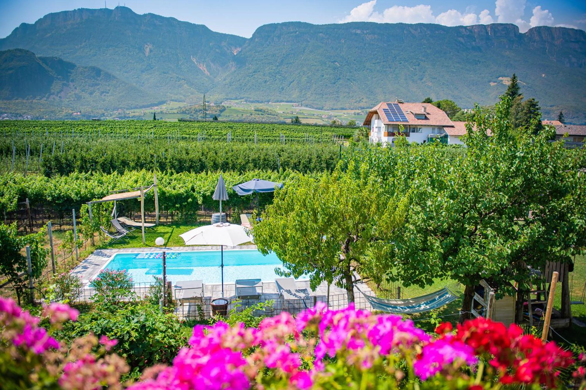 Lochererhof Apartment Appiano Sulla Strada Del Vino Bagian luar foto