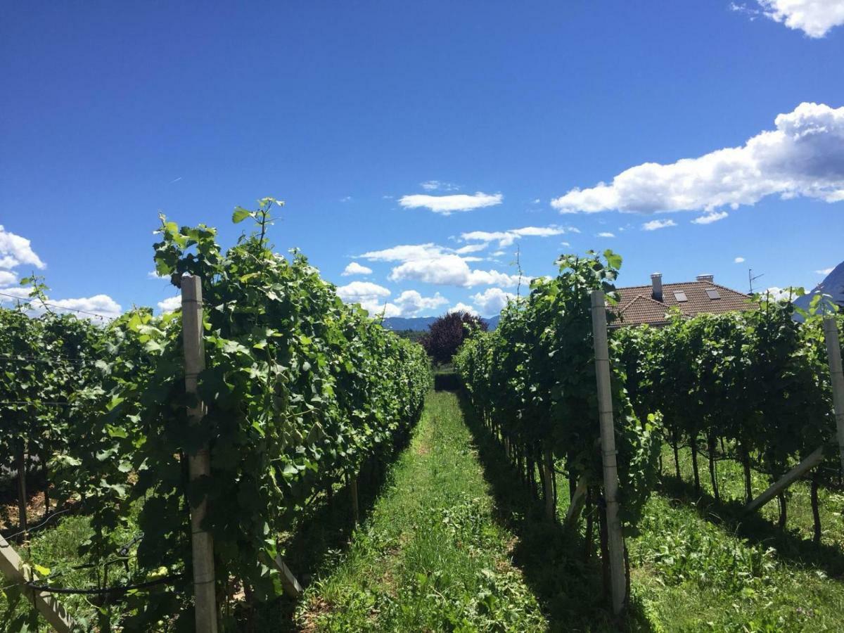 Lochererhof Apartment Appiano Sulla Strada Del Vino Bagian luar foto