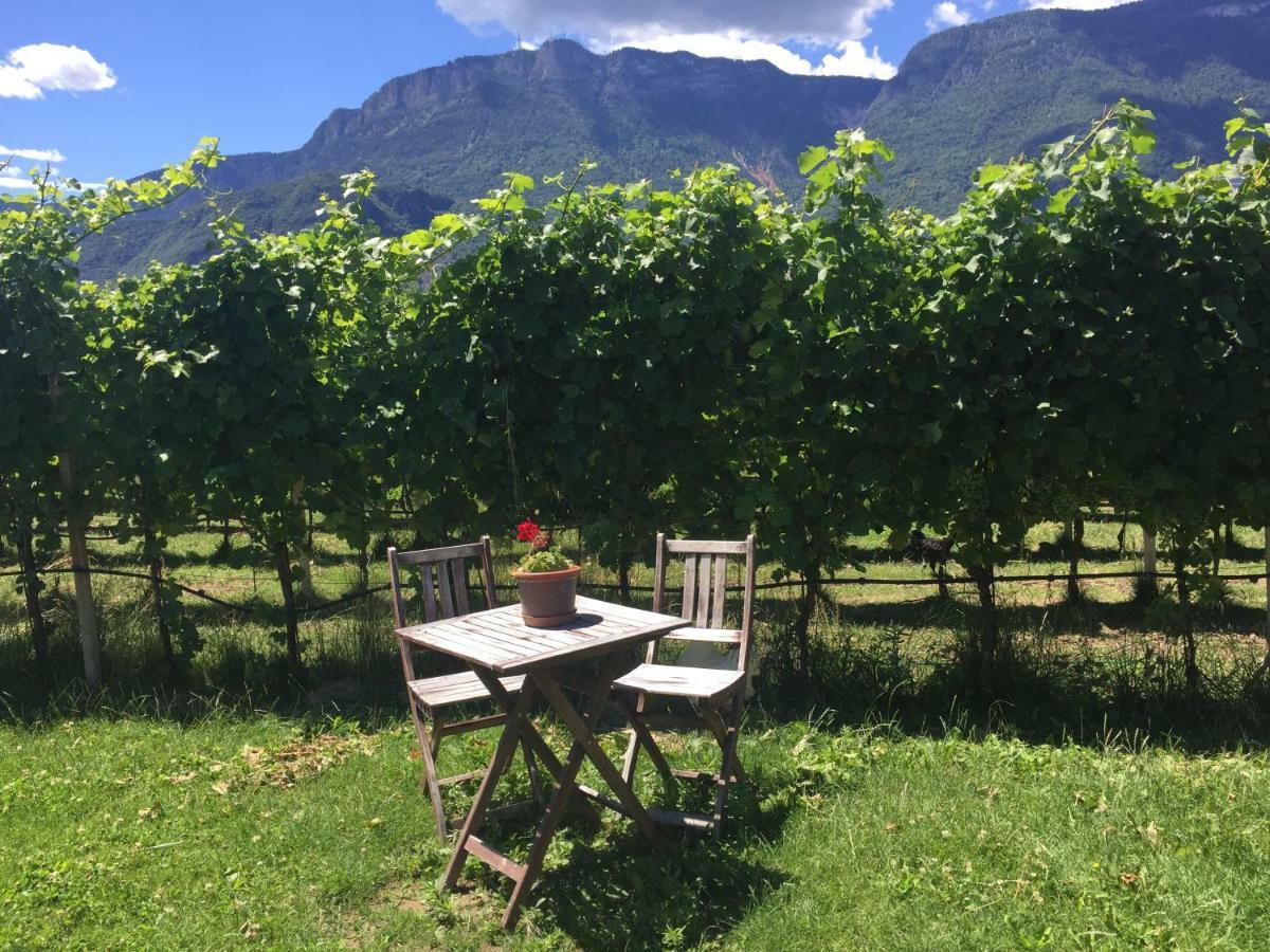 Lochererhof Apartment Appiano Sulla Strada Del Vino Bagian luar foto