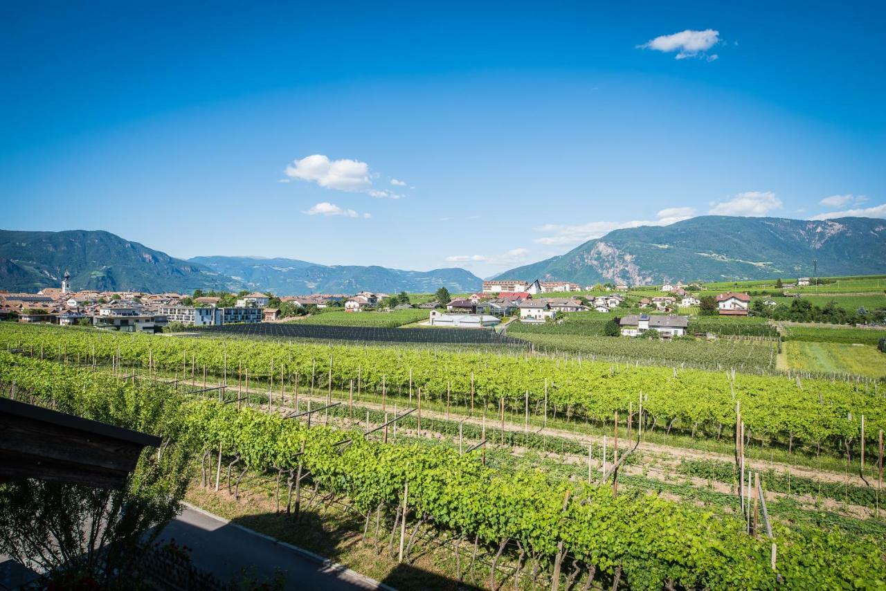 Lochererhof Apartment Appiano Sulla Strada Del Vino Bagian luar foto