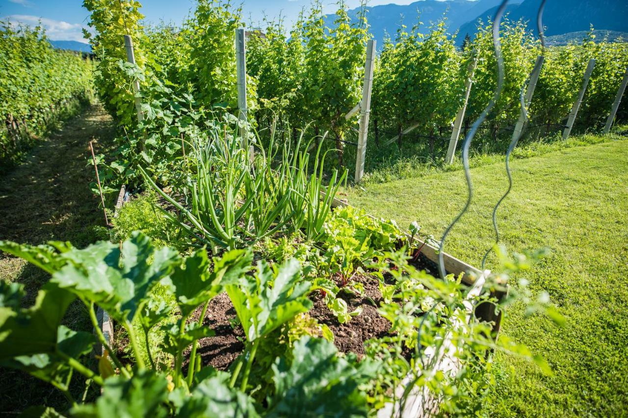 Lochererhof Apartment Appiano Sulla Strada Del Vino Bagian luar foto